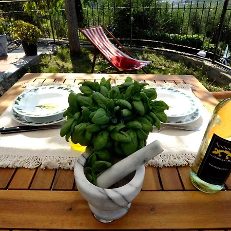 Hébergement de vacances Homes In 40829